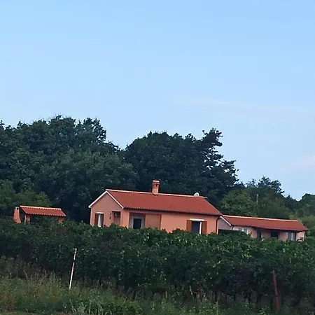 Goga Sisan